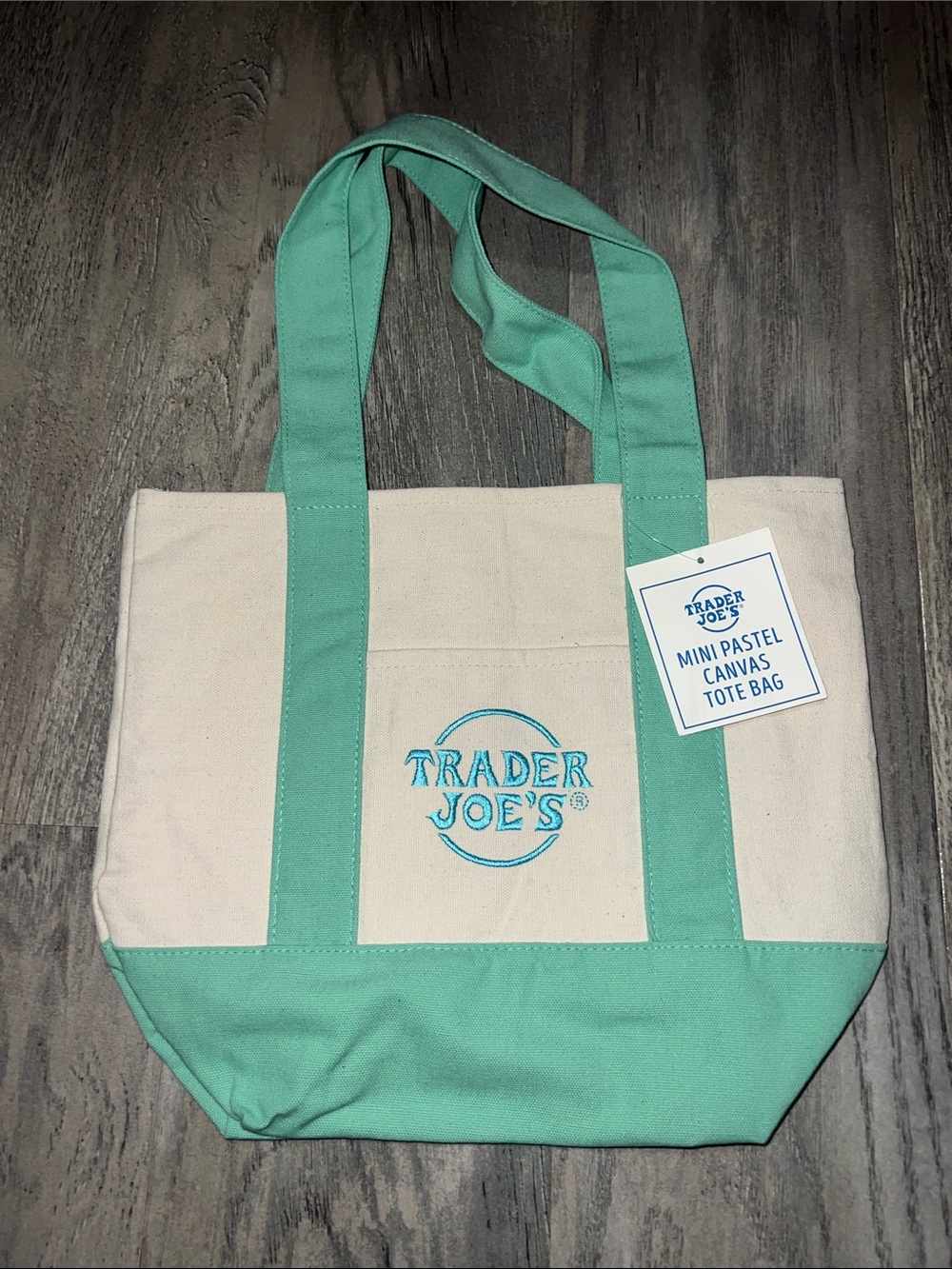 Mini Pastel Canvas Tote Bag - Mint/Beige